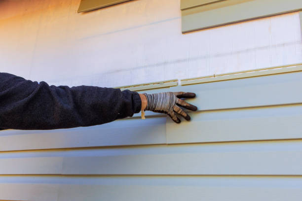 Best Siding Replacement  in USA